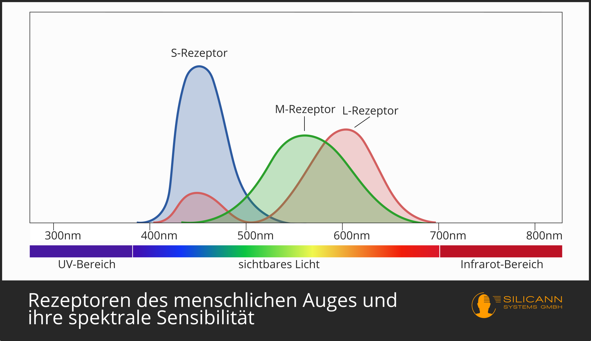 Blaues Licht: Wirkung auf den menschlichen Körper